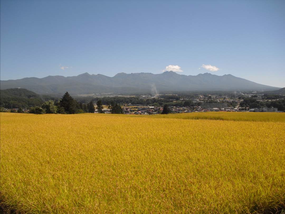 八ヶ岳山麓の麓・澄んだ空気に加え、標高約900メートルに位置する茅野市米沢地区は、夏季と冬季の寒暖差が非常に大きく、また1日の気温の寒暖差を見ても大きな開きがある内陸型気候の地域なのです。またこの地域は日照時間が長く昼夜の寒暖差が非常に大きい地域にて、この澄んだ空気に厳しい寒暖差が美味しいお米や野菜を育んでくれます。