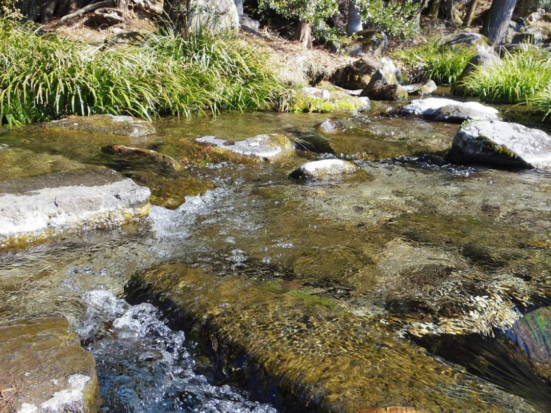 この地は北側に霧ケ峰高原が位置し、そこから南西に緩やかな傾斜地となり、霧ケ峰高原を源流とする河川によってできた扇状地です。この地のは、霧ヶ峰を源流とする藤原川・前島川・桧沢川・横河川の4つの一級河川があり稲作に大きな恵みを与えてくれています。また山林原野から扇状地にかけて、随所に湧水があり、特に「大清水　湧水」は、水量豊富で茅野市の水源地にもなっています。