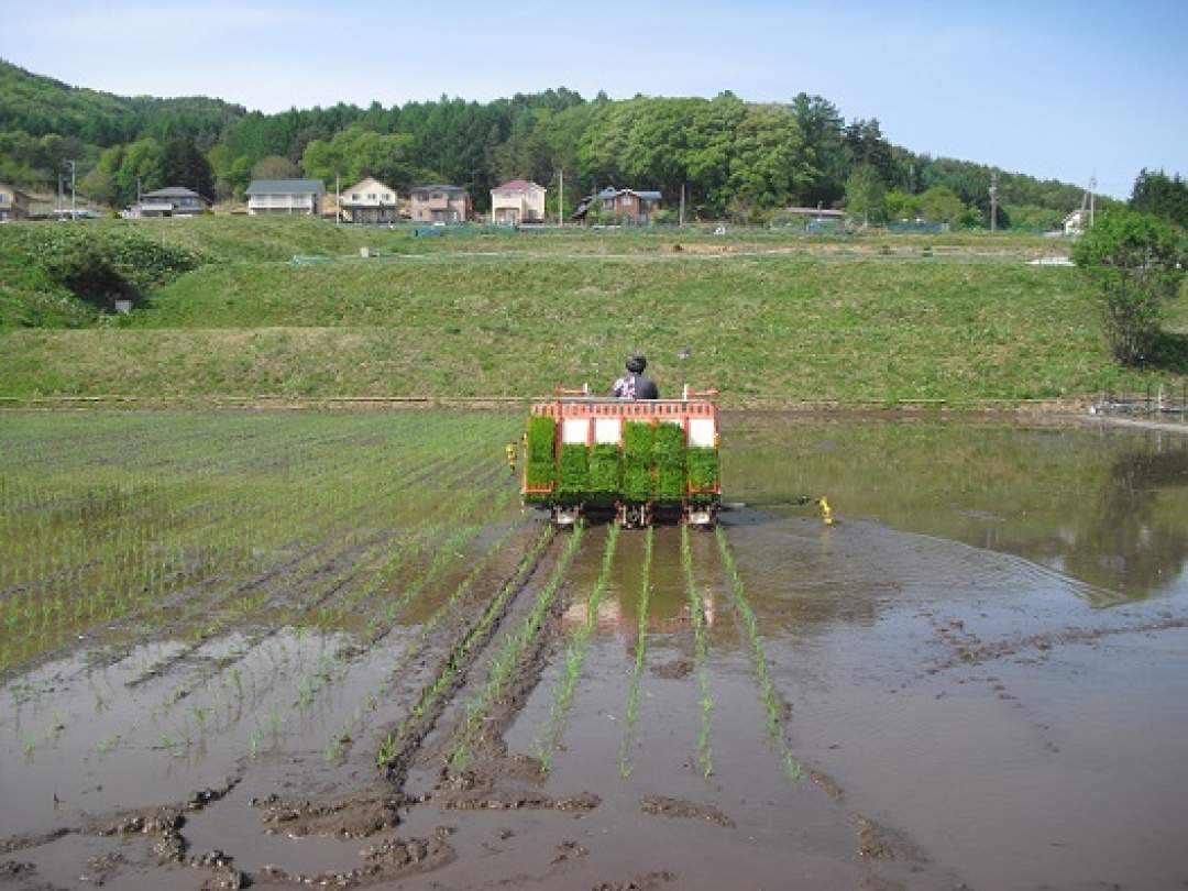 茅野市米沢の地は自然豊かな地域です。上記でご紹介した霧ケ峰伏流水が有機質多い茅野市米沢の土壌を作ってくれています。またおそよ1万年前からの縄文時代の遺跡も数多く発掘され、中でも棚畑遺跡から発掘された土偶は、「縄文のビーナス」で国宝に指定されています。古くから人々の営みがあった歴史ある土地なのです。