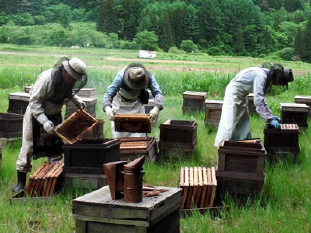 株式会社　磐梯養蜂場