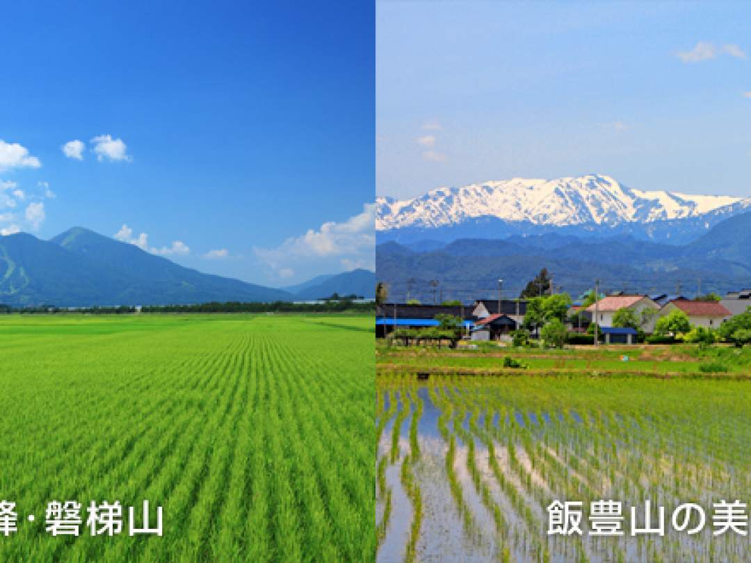 会津坂下町には鉄やケイ酸などの稲には欠かせないミネラル分を多く含んだ土壌が広く分布しています。
ミネラル豊富な土壌で育った稲は、天然のミネラルを吸収することで米の粒揃いが良く、美味しいお米に仕上がります。