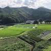 のどかな中山間地