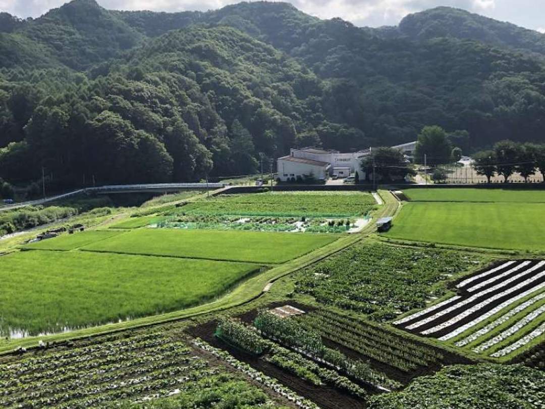 冷房いらずの高原地域です。昼夜の寒暖差が美味しいお野菜を育てます。