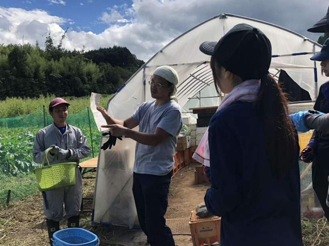 家庭菜園に興味のある方から、新規就農を希望する方まで、小海町直売所の会では農業体験も実施しております。
去年はやむなく中止となりましたが、今年は開催したいものです。